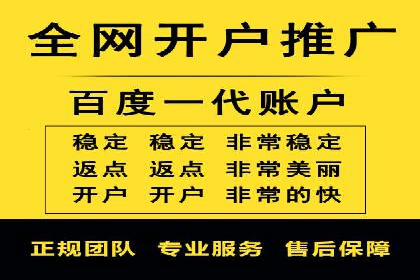 百度推广实战：案例分享与数据解读